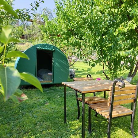 Nataly Campsite Yeghegnadzor المظهر الخارجي الصورة