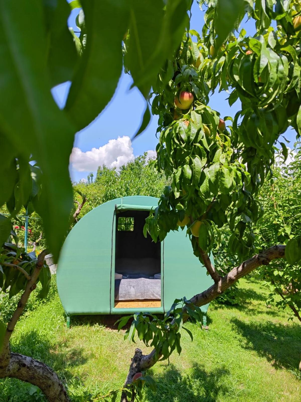 Nataly Campsite Yeghegnadzor المظهر الخارجي الصورة