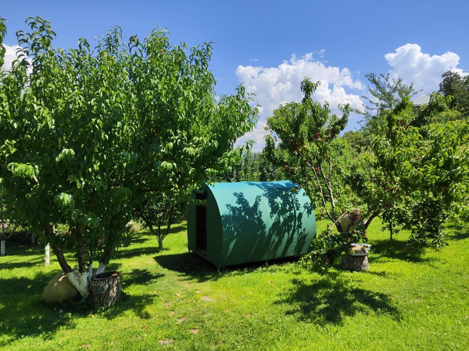 Nataly Campsite Yeghegnadzor المظهر الخارجي الصورة