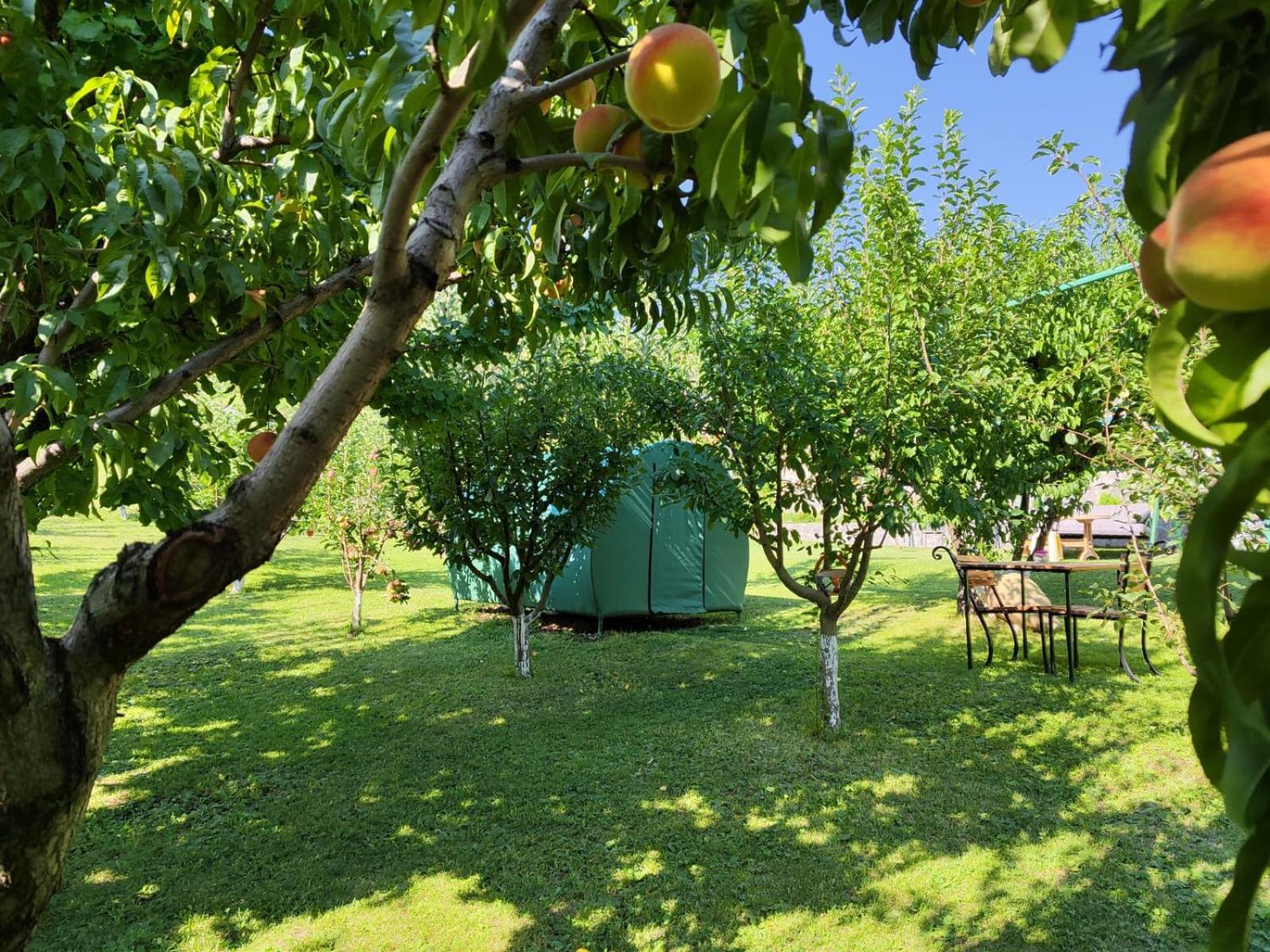 Nataly Campsite Yeghegnadzor المظهر الخارجي الصورة